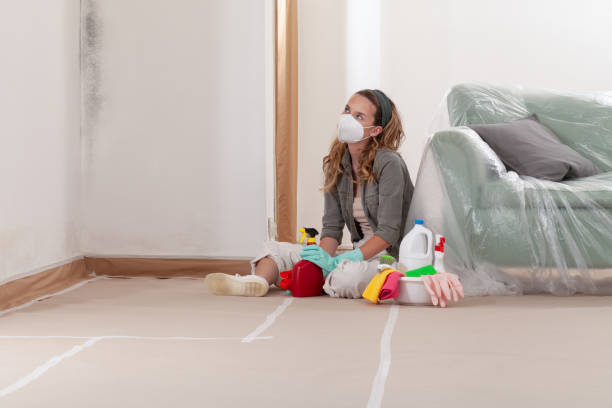 Reliable Black Mold Removal contractor in Greenbelt, MD by WQB Mold Removal